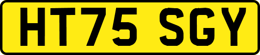 HT75SGY