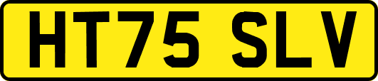 HT75SLV