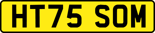 HT75SOM