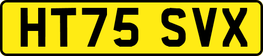 HT75SVX