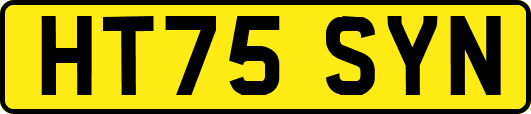 HT75SYN