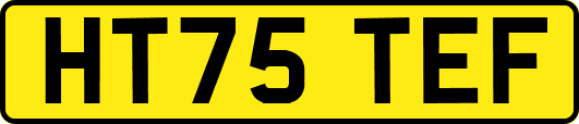 HT75TEF