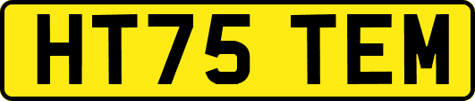 HT75TEM
