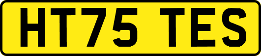 HT75TES