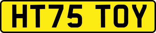 HT75TOY