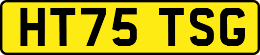 HT75TSG