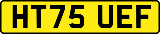 HT75UEF