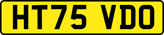 HT75VDO