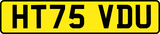 HT75VDU