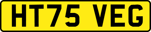 HT75VEG