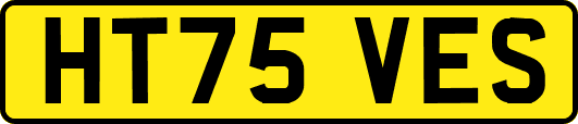 HT75VES