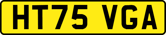 HT75VGA