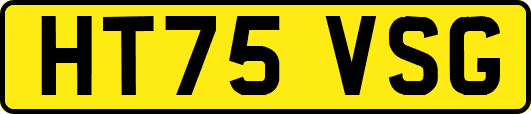 HT75VSG