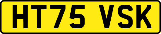 HT75VSK