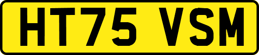 HT75VSM