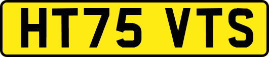 HT75VTS