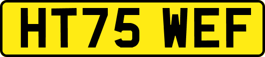 HT75WEF