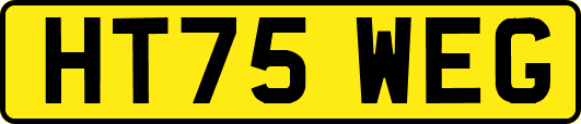 HT75WEG