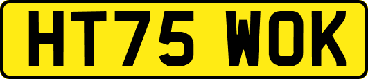 HT75WOK
