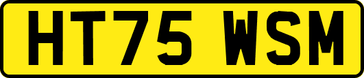HT75WSM