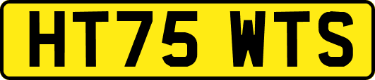 HT75WTS