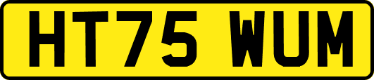 HT75WUM