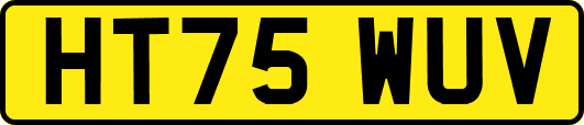 HT75WUV