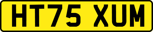 HT75XUM