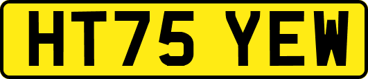 HT75YEW