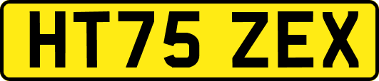 HT75ZEX