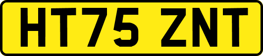 HT75ZNT