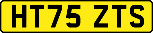 HT75ZTS