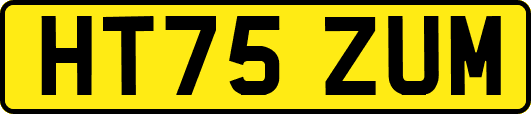 HT75ZUM