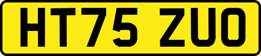 HT75ZUO