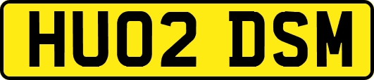 HU02DSM