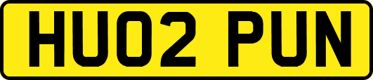 HU02PUN