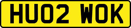 HU02WOK