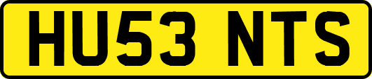 HU53NTS