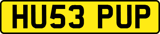 HU53PUP