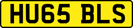 HU65BLS
