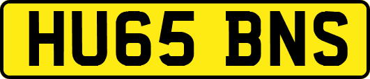 HU65BNS