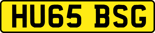 HU65BSG