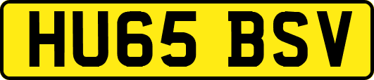 HU65BSV