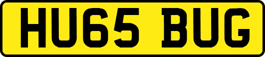 HU65BUG