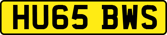 HU65BWS