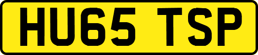 HU65TSP