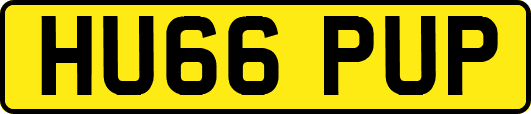 HU66PUP