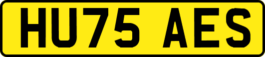 HU75AES