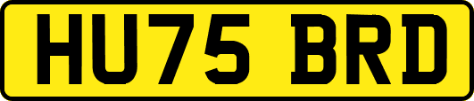 HU75BRD