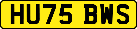 HU75BWS